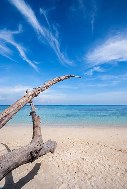 istock Timber on the beach and blue sky at Koh Rok 516144147