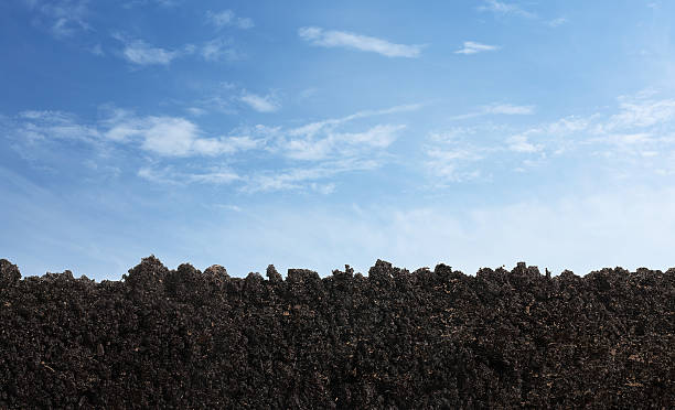vista laterale della superficie del suolo - plowed field dirt sowing field foto e immagini stock