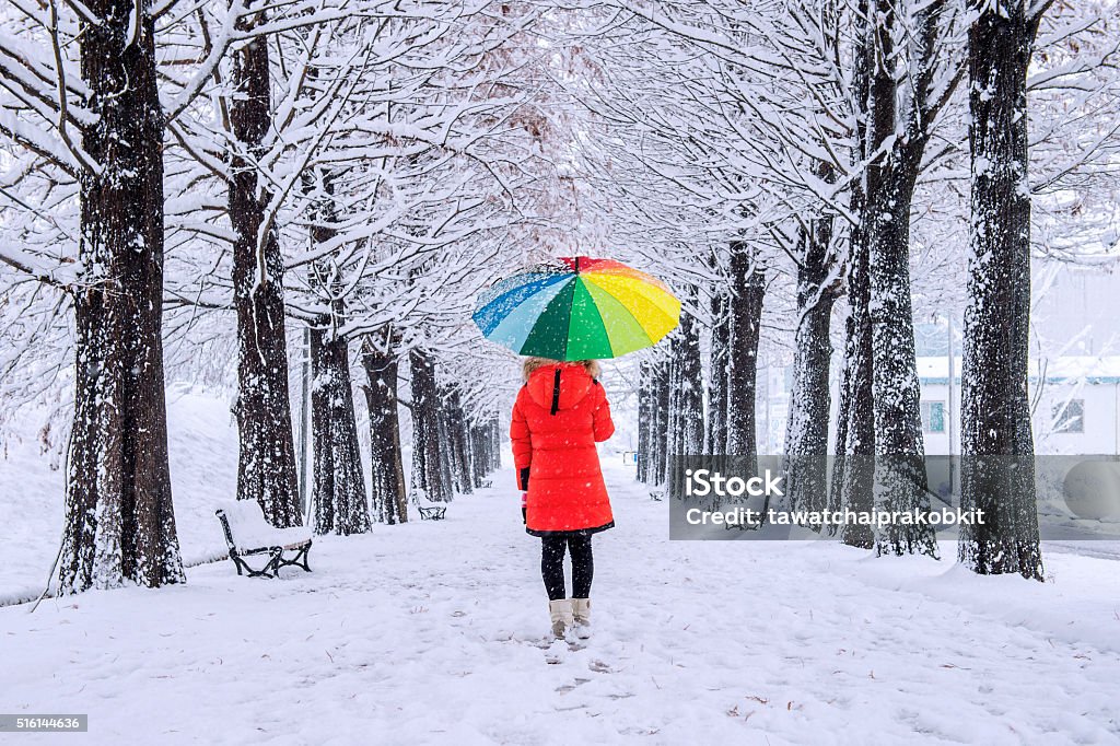 Girl with colourful umbrella walking on the path Girl with colourful umbrella walking on the path and row trees. Winter. Winter Stock Photo