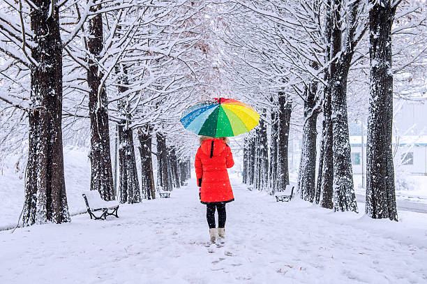 Girl with colourful umbrella walking on the path Girl with colourful umbrella walking on the path and row trees. Winter. single lane road photos stock pictures, royalty-free photos & images