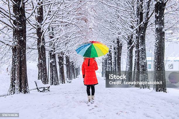 Girl With Colourful Umbrella Walking On The Path Stock Photo - Download Image Now - Winter, Walking, Snow