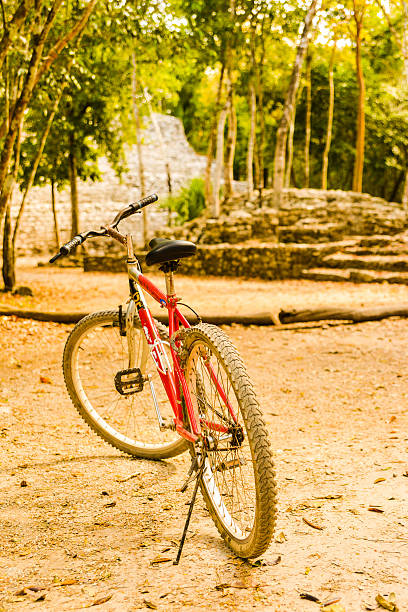 Modern Red Full Suspension Mountain Bike MTB Bicycle