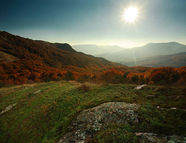 istock Autumn forest in mountains under the blue sky 516159751