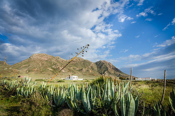 Photo of country houses at the foot of the mountains from a road bordered by cactus and agaves. You can not see, but the sea is to the right of the image. The mountains are in the background are the beginning of the Sierra de Gata, in Almeria, southeast of Spain.