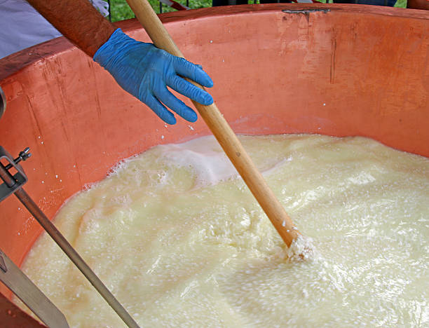 cheesemaker mix di latte e formaggio francese rennet per produrre - caldierone foto e immagini stock