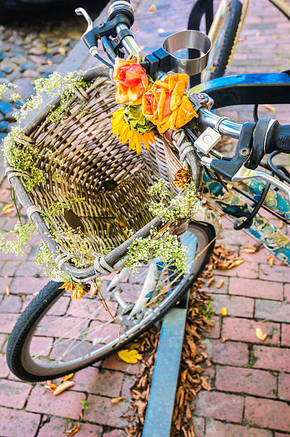 istock Nantucket Bike Basket 516167015