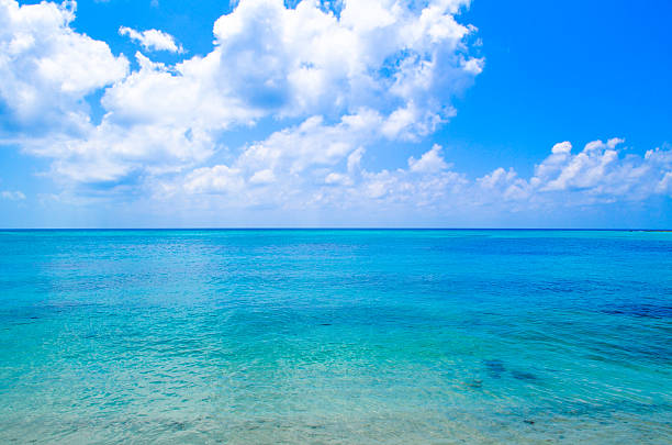 istock Maldives water - Thoddoo island 516175008
