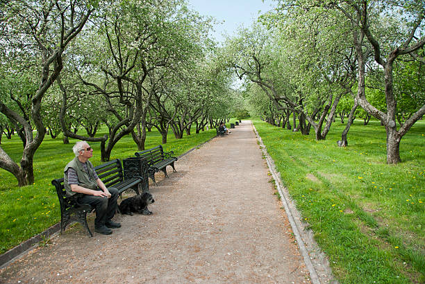 ブリント男性は鳥の鳴き声庭園の kolomenskoye 、モスクワ、ロシア。 - kolomenskoye ストックフォトと画像
