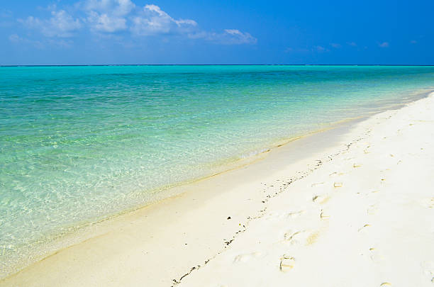 istock Maldives water and nature - Thoddoo island 516176302