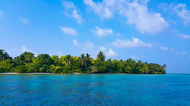 istock Maldives water and nature - Thoddoo island 516176838