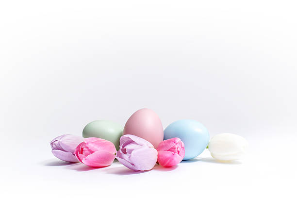 Pastel-coloured tulips and easter-eggs stock photo