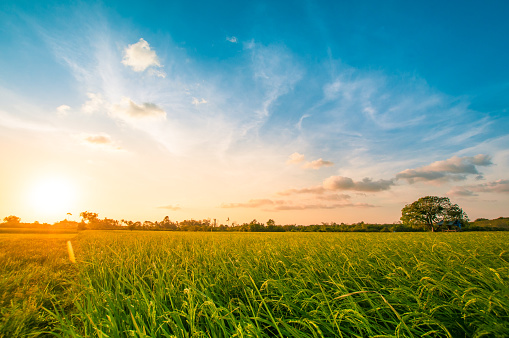 www.istockphoto.com