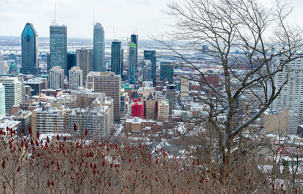 istock Montreal Skyline in winter 516181148