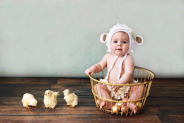 Baby Wearing Lamb Bonnet Sitting in Antique Egg Basket stock photo