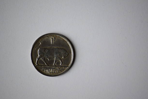 istock Coin, silver irish shilling showing bull 516184804