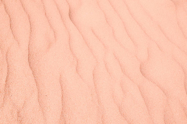istock Teresitas Beach in Tenerife 516186558