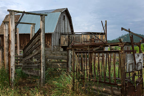 derelict drewniane barn, indian reservation, montana, usa. - billings old fashioned old american culture zdjęcia i obrazy z banku zdjęć