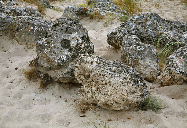 istock Pobiti Kamani - Stone forest near Varna. Bulgaria 516188636