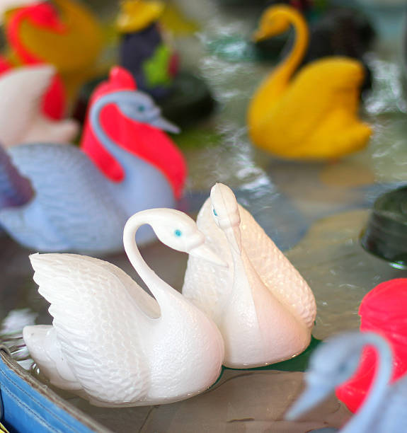 Joust of swans that float on the water to fish for good luck charms