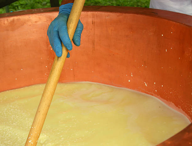 leiteiro de bolos ricota queijo em grande panela de cobre em laticínios - caldierone imagens e fotografias de stock