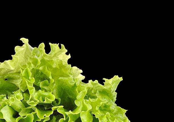 istock Fresh green salad isolated on black background 516193869