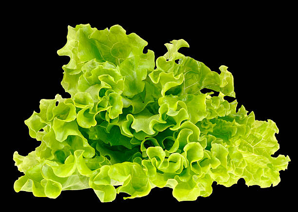 istock Fresh green salad isolated on black background 516193885