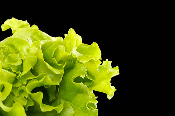 istock Fresh green salad isolated on black background 516194691