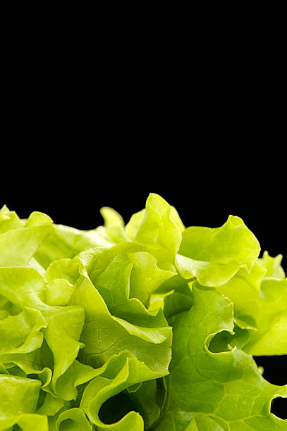 istock Fresh green salad isolated on black background 516194701