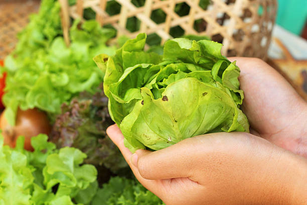 istock Fresh green vegetables salad in hand. 516195071