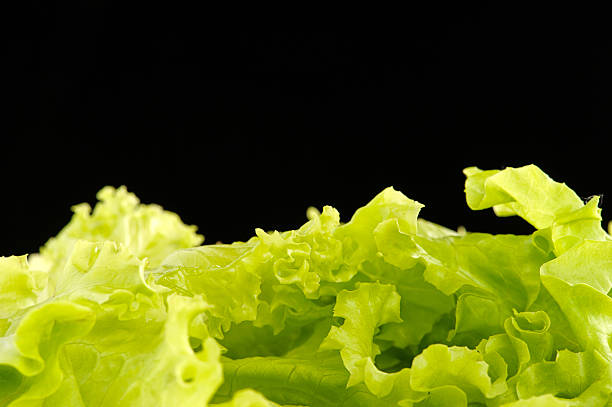 istock Fresh green salad isolated on black background 516195669