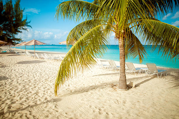 paradise beach en una isla tropical - agua de jamaica fotografías e imágenes de stock