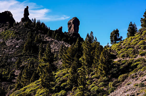 istock Volcanic Rock Basaltic Formation in Gran Canaria 516206834