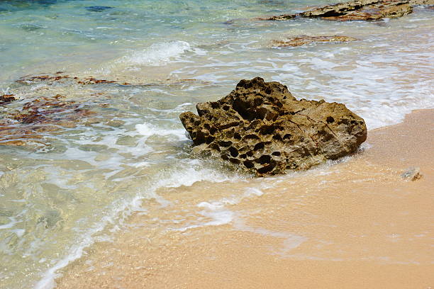istock Rock and reef on Dominican beach, Samana 516209850