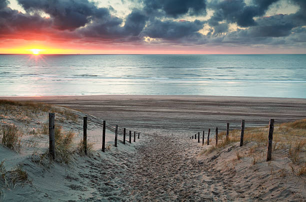 istock sand path to North sea beach at sunset 516210866