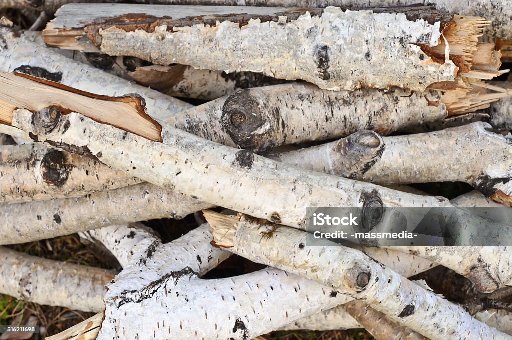 Broken Birch Branches Stock Photo - Download Image Now - Backgrounds, Birch  Tree, Branch - Plant Part - iStock