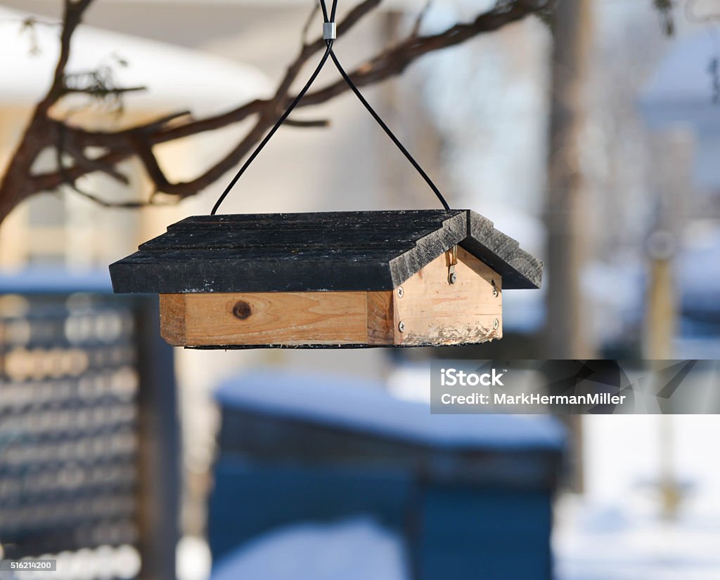 Birdfeeder Hangs From a Branch Birdfeeder hangs from a branch Bird Stock Photo