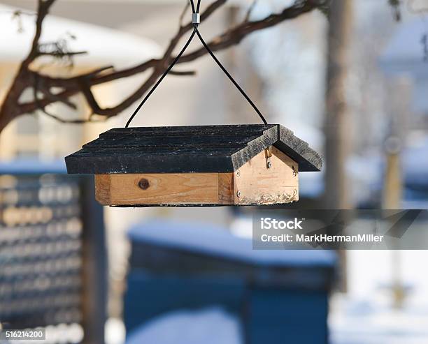 Birdfeeder Hangs From A Branch Stock Photo - Download Image Now - Bird, Branch - Plant Part, Hanging