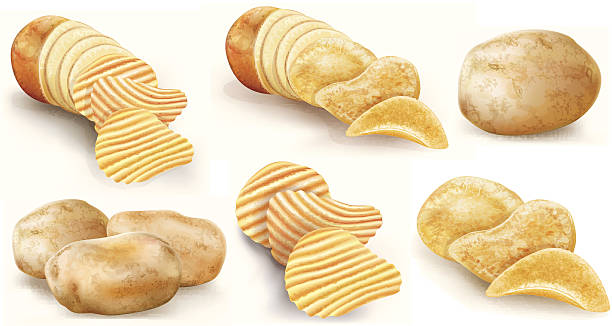 potatoes and chips collection potatoes and potato chips and cut potato tubers on a white background. vector illustration curly fries stock illustrations