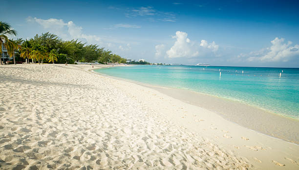 istock Paradise beach on a tropical island 516215002