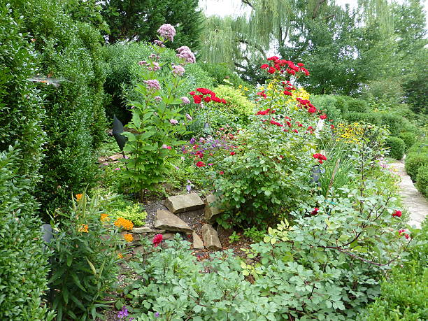 istock Late Summer Flowers in Bloom 516217422