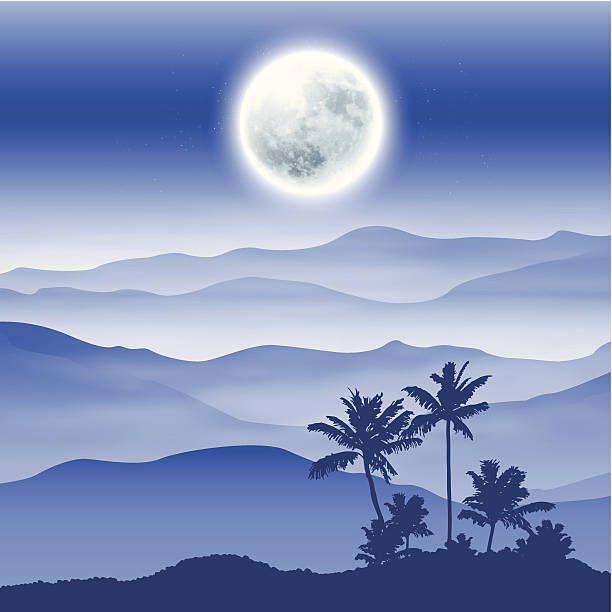 ilustrações de stock, clip art, desenhos animados e ícones de fullmoon, fundo com palmeira e montanhas no nevoeiro - rainforest tropical rainforest forest moonlight