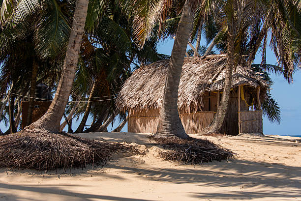 istock Paradise on a tropical island 516218276