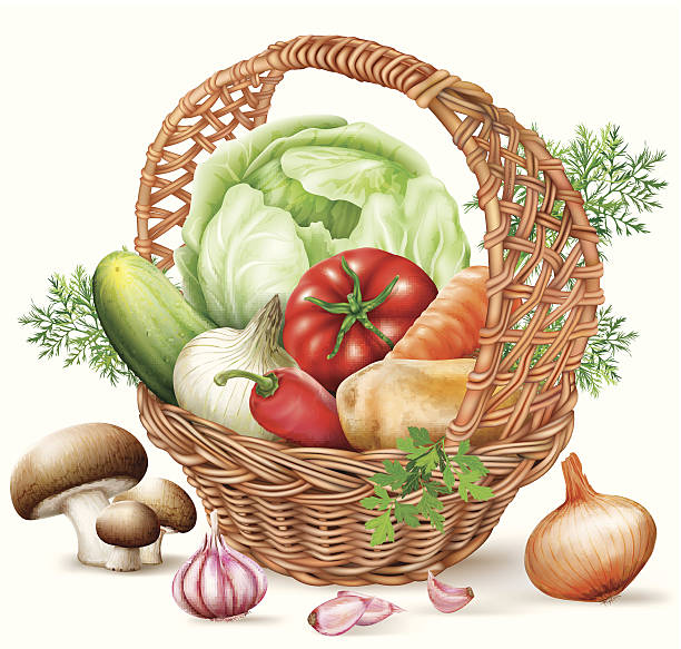 Basket different Vegetables Different vegetables in brown wicker basket. vector illustration white cabbage stock illustrations