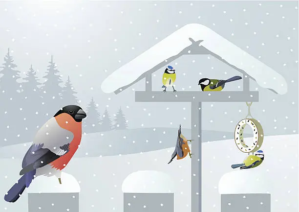 Vector illustration of Songbirds in winter on a birdhouse