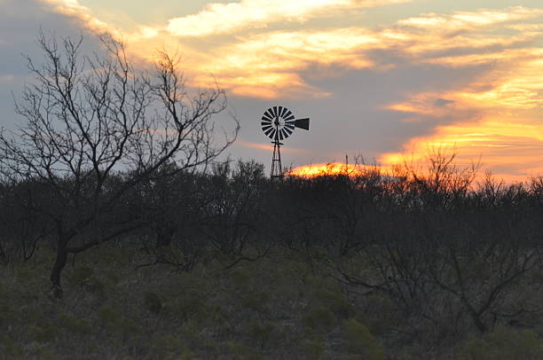 istock Texas Windmill at Sunset above the Mesquite 516221279