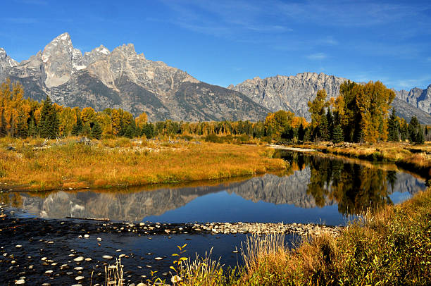 istock Fall water reflections in The Grand Tetons. 516221419