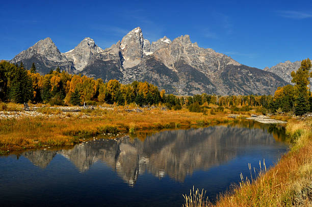 istock Fall water reflections in The Grand Tetons. 516229423