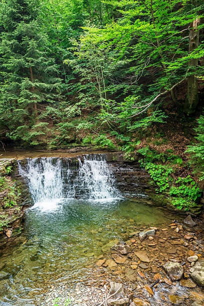 istock Cascade Water in the mountain forests 516232839
