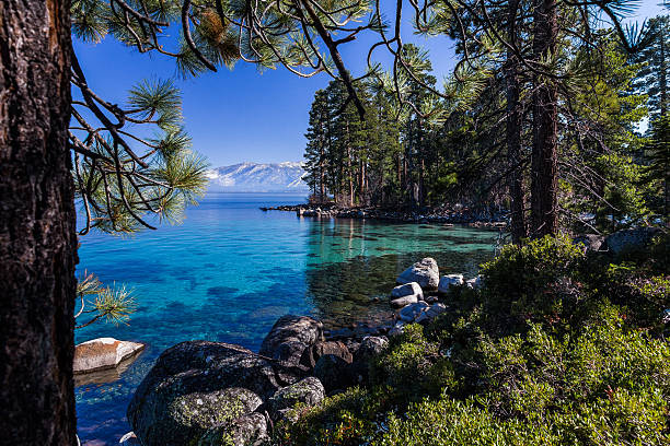 istock Tahoe's clear, turquoise waters surrounded by pine forest and mountains 516233903