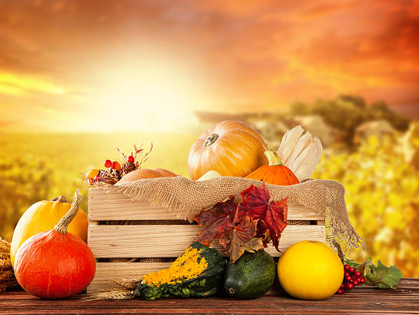istock Autumn fruit and vegetable in wooden box 516234515